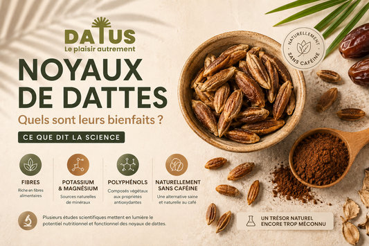 Bienfaits des noyaux de dattes torréfiés : fibres, minéraux et antioxydants dans une boisson naturellement sans caféine.
