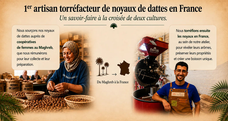 Savoir-faire DATUS : collecte et préparation des noyaux de dattes auprès de coopératives de femmes au Maghreb, puis torréfaction artisanale en France pour créer une boisson aux noyaux de dattes torréfiés dite café de dattes.