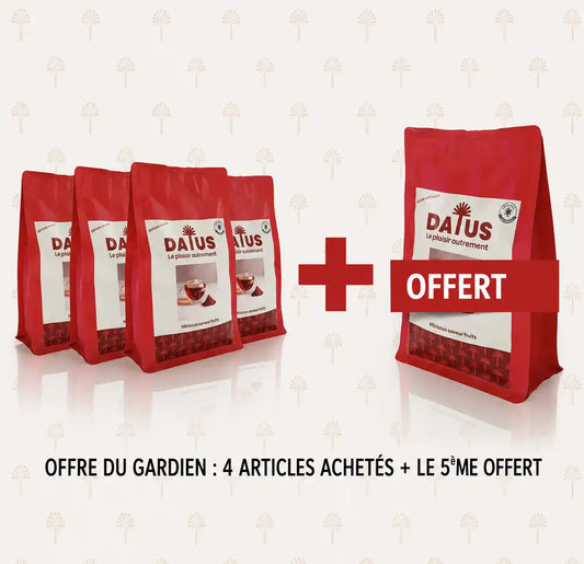 Pack Famille DATUS infusions de noyaux de dattes, 4 sachets achetés et 1 offert, naturellement sans caféine, boisson chaude type thé sans théine